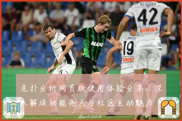 虎扑分析网页版使用体验分享，深入解读功能亮点与社区互动魅力